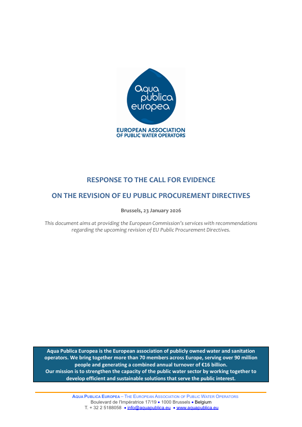 Response to the Call for Evidence  on the Revision of EU Public Procurement Directives