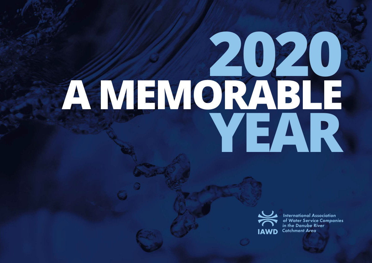 2020 - A Memorable Year