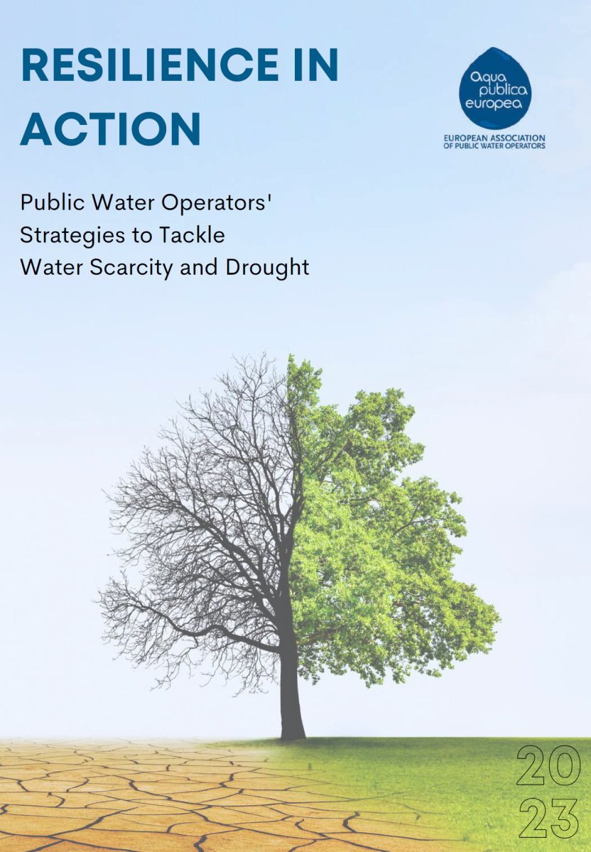 Resilience in action - Public Water Operators' Strategies to Tackle Water Scarcity and Drought 