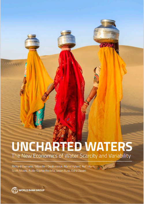 Uncharted Waters: The New Economics of Water Scarcity and Variability  