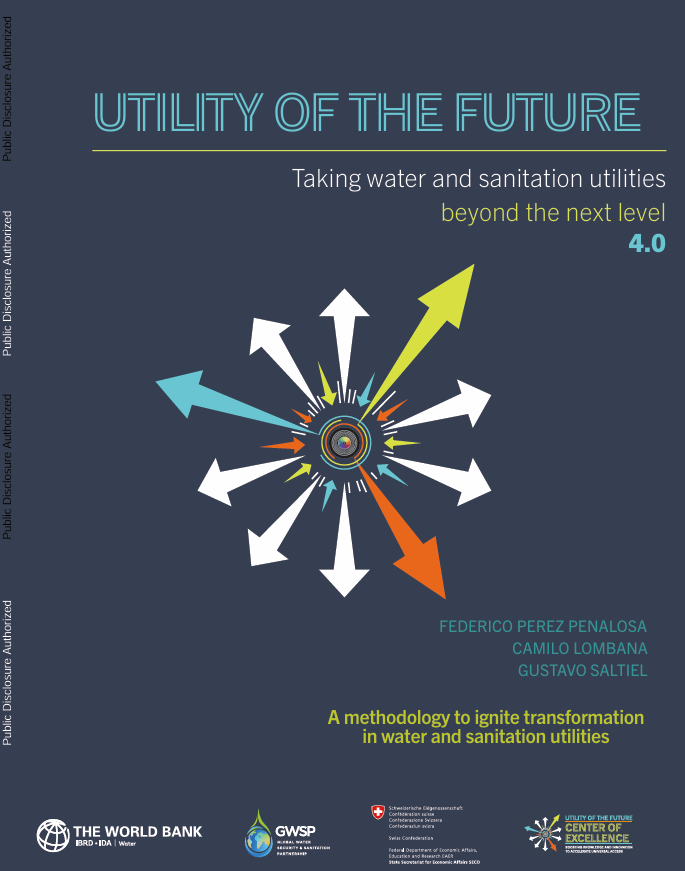 Utility of the Future - Taking water and sanitation utilities beyond the next level