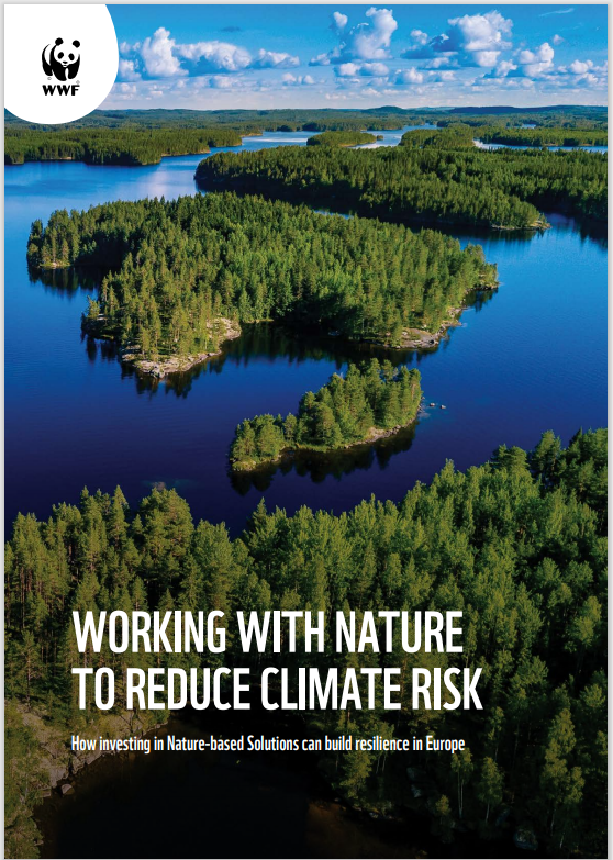 Working with nature to reduce Climate Risk: How investing in Nature-based Solutions can build resilience in Europe
