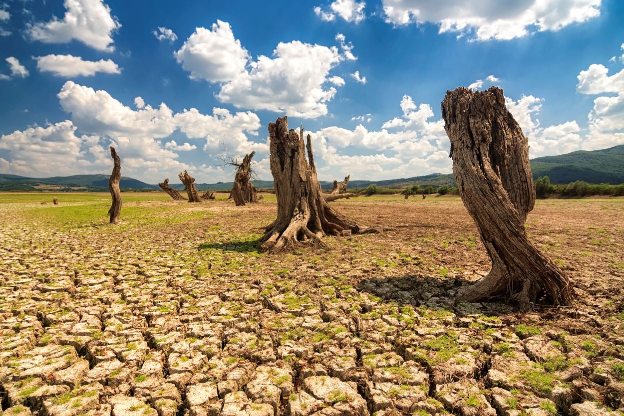 Beyond Scarcity: Water Scarcity and Drought Risk Management in the Danube Region