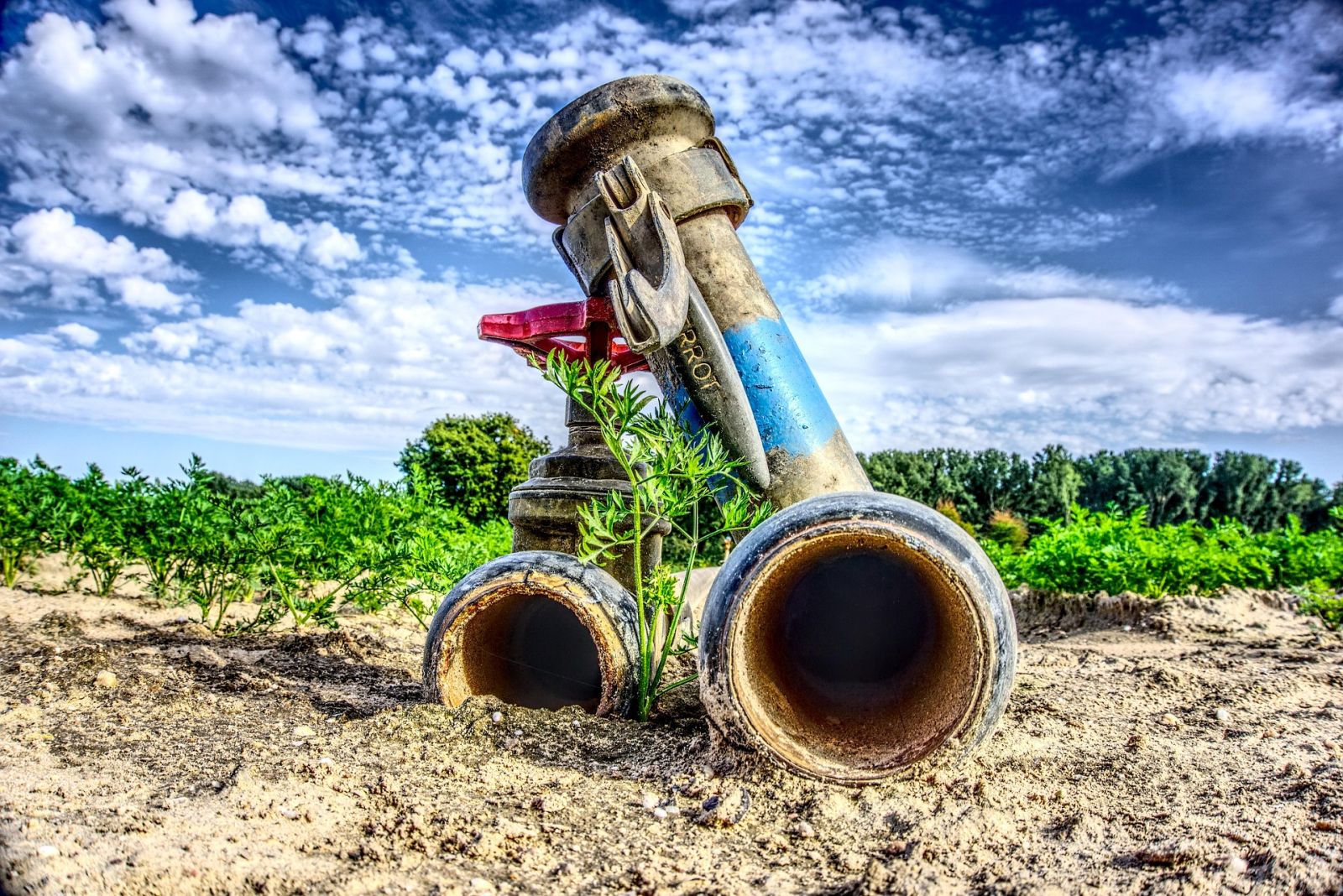 Good practice examples on cooperation between agriculture and water management