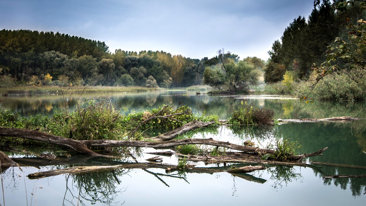 4th International Conference Waters in Sensitive and Protected Areas 