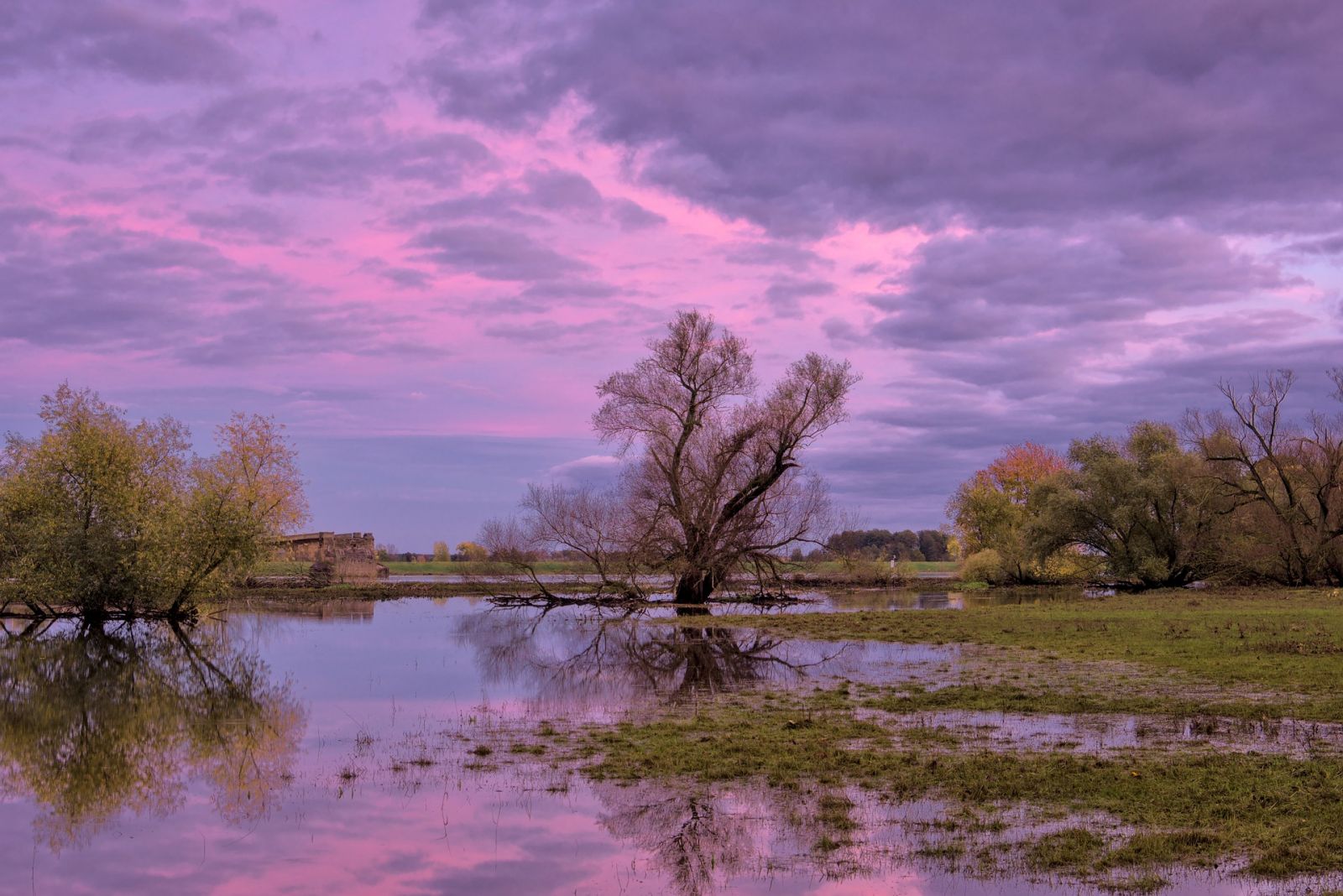 Back to the Nature: Exploring the potential of nature-based solutions to face the effects of climate change on water