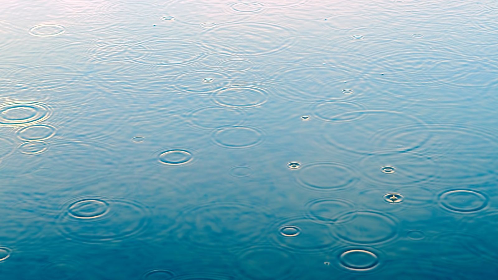 Water Resilience in a City Wide Context