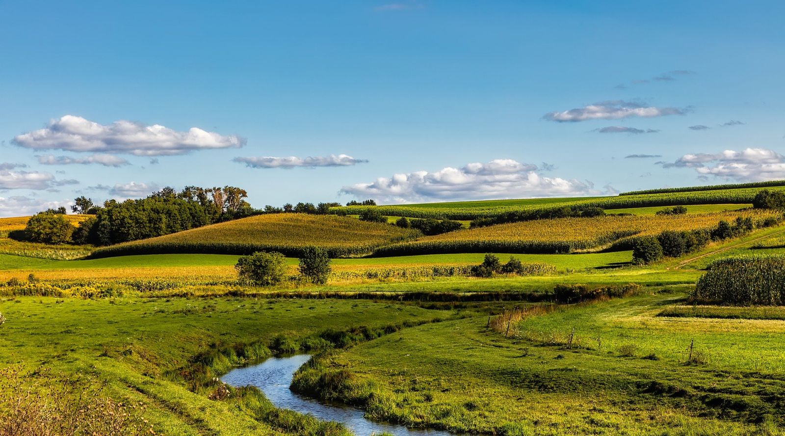 Beyond Utility Reach? Managing Wastewater and Sanitation in Rural Areas